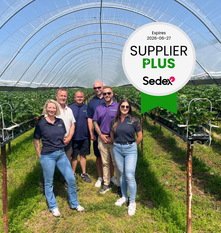 Vitafresh Exports Achieves Sedex Supplier Plus Membership